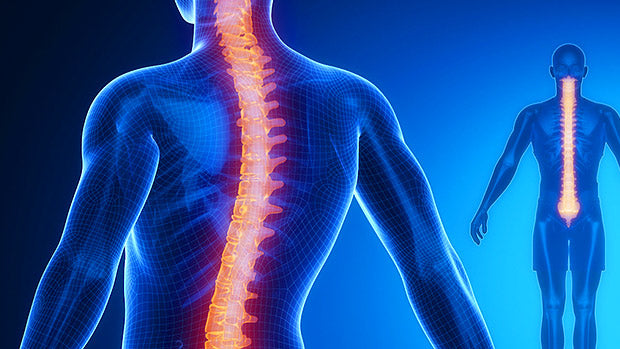 T-Spine Rotation for Baseball and Softball Athletes